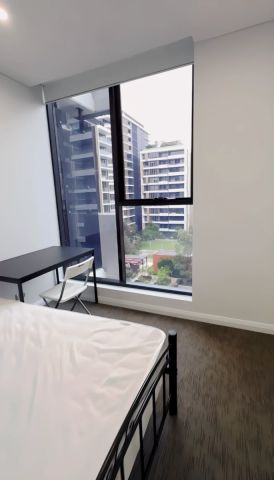 126 Banks Avenue, Sydney - Photo 4