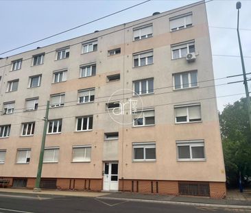 Kiadó átlagos állapotú panel lakás - Szeged - Fotó 6