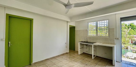 Location Appartement 2 pièces 29m² POINTE A PITRE 97110 - Photo 2