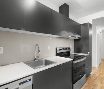 Condo for rent, Montréal (Le Plateau-Mont-Royal) - Photo 3