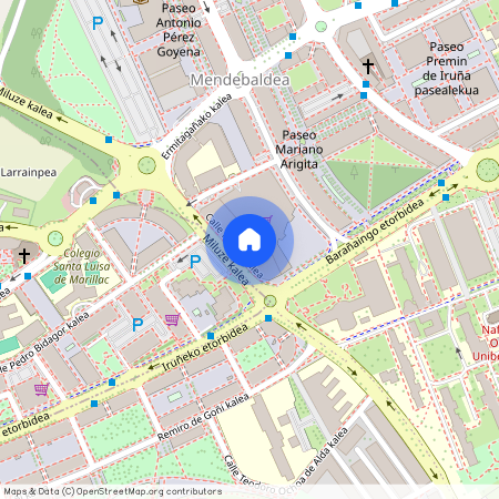 Carrefour, Calle Amado Alonso kalea, 31009 Pamplona, Spain