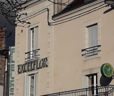 LOCATION APPARTEMENT T3 TRIPLEX - Photo 3