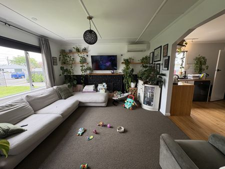 604b Elm Road, Akina - Photo 4