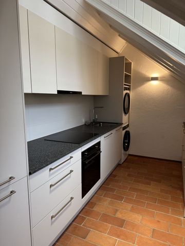 Attique magnifique, grand, atypique et rénové dans le Vieux-Carouge - Foto 2