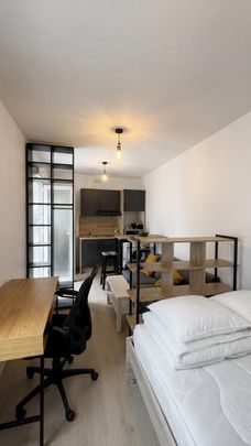 Location Appartement 1 pièce Meublé 20m² NANCY 54000 - Photo 1
