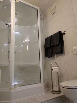 1-ROOM APARTMENT IN OBERGÖSGEN (DIM), FURNISHED - Photo 1