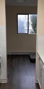 MARCH 2025 1-Bedroom Fully Renovated close to SkyTrain (Lougheed) - Photo 4