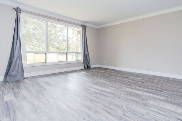 For Lease - 321 Warrington Road, Clearview, Ontario - Photo 1