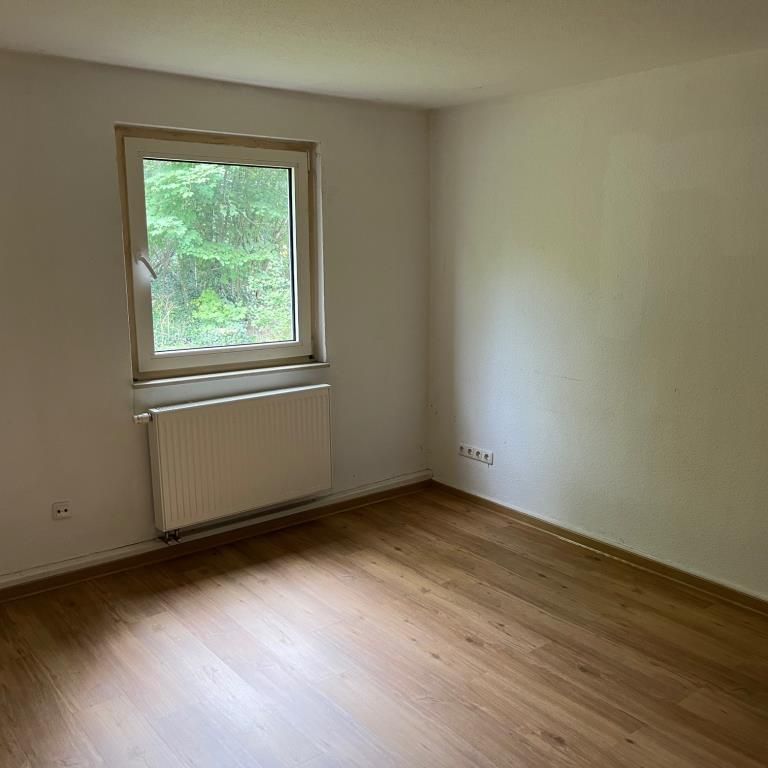 Helle Zwei-Zimmer-Wohnung im Erdgeschoss ab sofort zu vermieten! - Photo 1