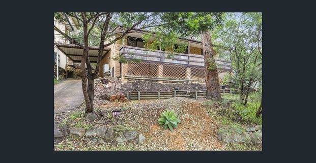 Natural Light, Low Maintenance Living - Photo 1