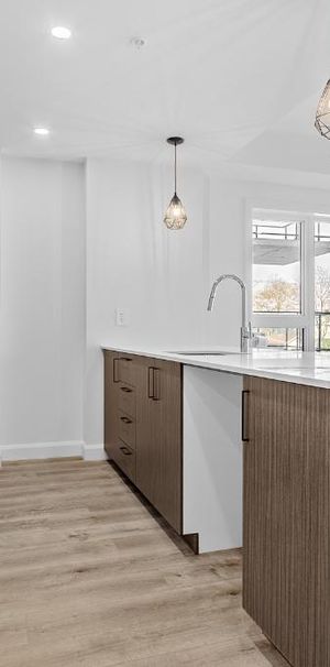 LA SENTINELLE LÉVIS, 4½ NEUF, disponible dès maintenant - Photo 1