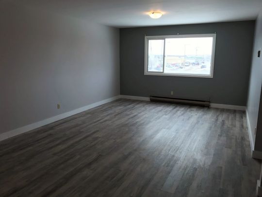 Northland Apartments – 1 Bedroom - Photo 1