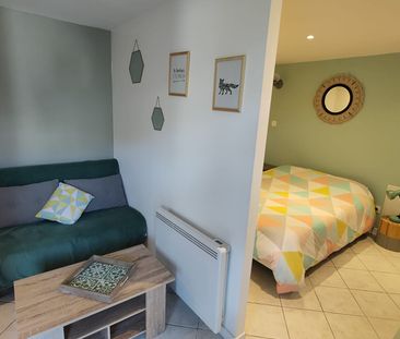 Appartement T1 VIVIERS DU LAC à louer - Photo 3