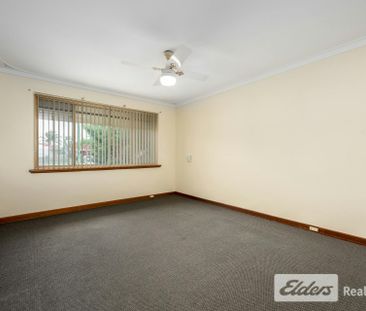 Light Filled Character Home with Awesome Secure Yard - Photo 3