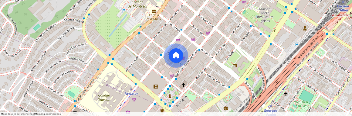 1463A Rue Chomedey, Montréal (Ville-Marie), H3H 2A6