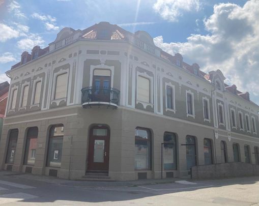 Geförderter Erstbezug nach Generalsanierung in Ehrenhausen - 3 Zimmer TOP 7; [GF,H StrEh] - Foto 1