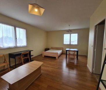 Location Appartement 1 pièce 36m² ST LAMBERT LA POTHERIE 49070 - Photo 1