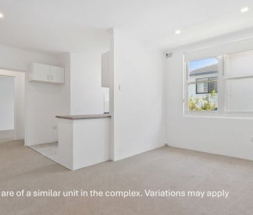 Stylish Ground Floor Apartment Moments from Elouera Beach - Photo 1