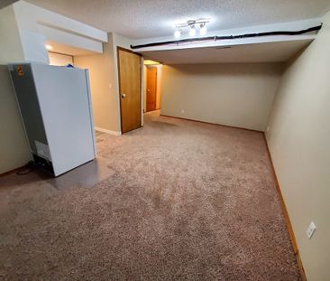 1 Bed Basement Suite in Deer Park! Utilities Included! - Photo 3