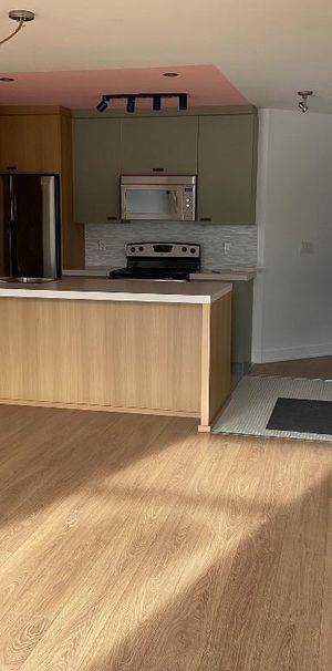 Appartement 2 chambres séparées plateau mont royal electro inclus - Photo 1