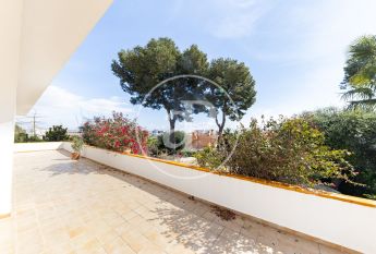 Ground floor apartment for rent in Palmanova