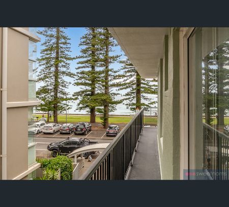 7/108 North Steyne, Manly, NSW 2095 - Photo 5