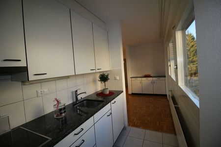 CHARMANT APPARTEMENT LUMINEUX AU SCHÖNBERG - Photo 5