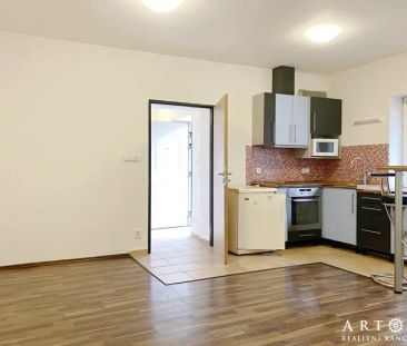 (M15) Pronájem krásného bytu 1+kk, Mostecká ul., Brno Husovice, 32 m - Photo 5