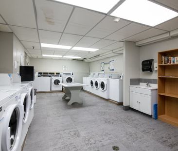 Mayfair Place Apartments - 1 Bedroom - Photo 6