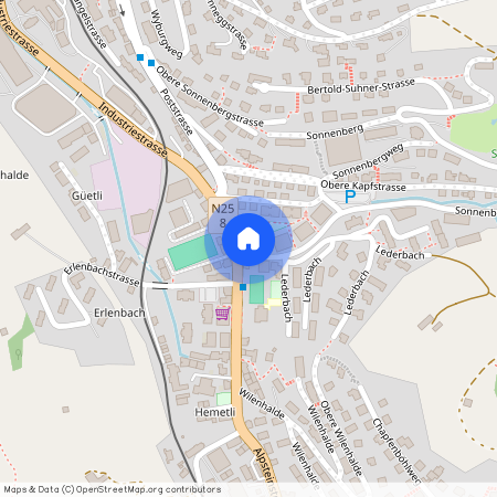 9100, Herisau, Alpsteinstrasse, 1