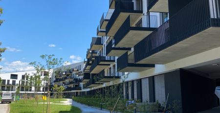 geförderte unbefristete, moderne 2-Zi Neubauwohnung mit Balkon - Photo 5