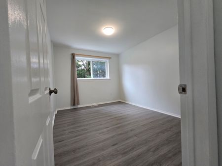 For Lease - 144 Clarence Street Unit# Bsmt, Brampton, Ontario - Photo 3