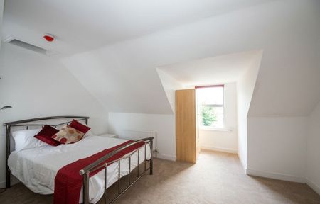 Room in a Shared House, Wantage Road, RG30 - Photo 3