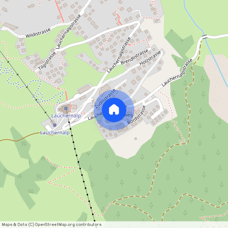 3918, Wiler (Lötschen), Bordstrasse, 31