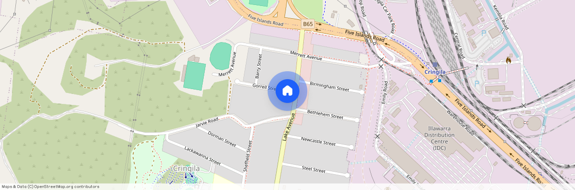 30 Lake Avenue, Cringila