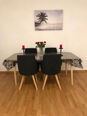 Modern furnished 4.5-Zi apartment in Glattbrugg near the airport and Zurich city center - Photo 1