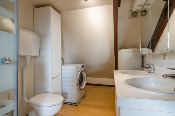 Gemeubeld 1 slaapkamer appartement te Berlare - Foto 1