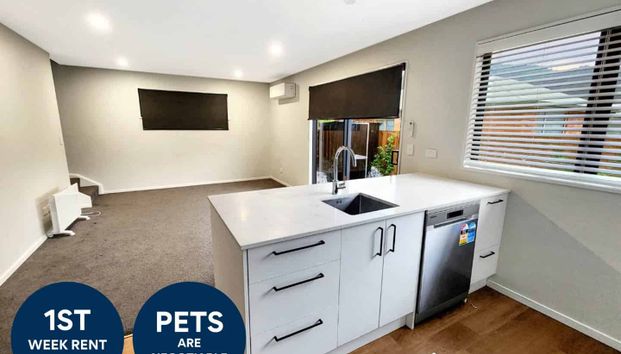 Wainui Living - Photo 1