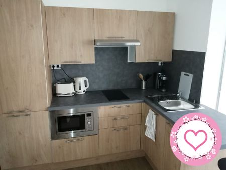 Location Appartement 1 pièce 22m² SULLY SUR LOIRE 45600 - Photo 3