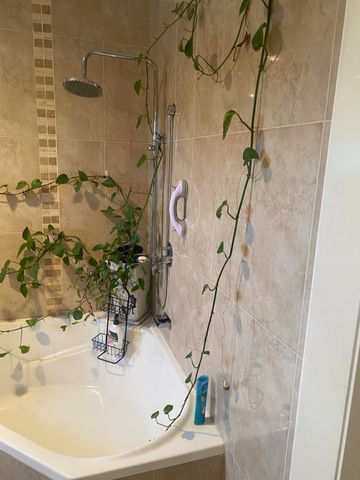 Old Toongabbie - Photo 5