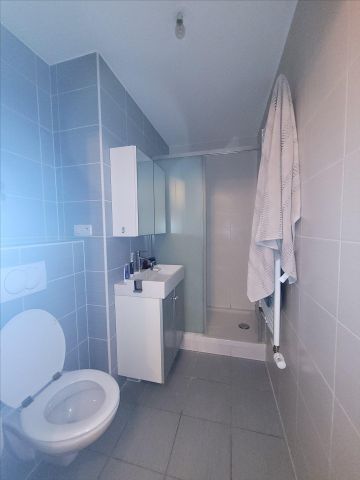 A louer F2 COLMAR - Photo 4