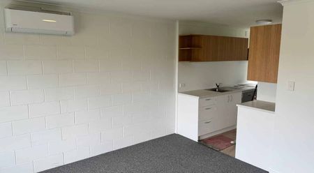 Fully Renovated Apartment - Photo 5