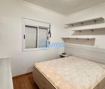 Imoveis - No Jardim Nova Bragança - Foto 5