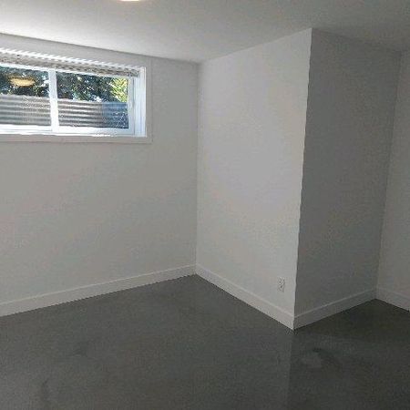 logement 4 1/2 Marieville electros inclus - Photo 3