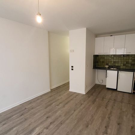 Location Appartement 1 pièce 25m² ANNECY 74000 - Photo 3