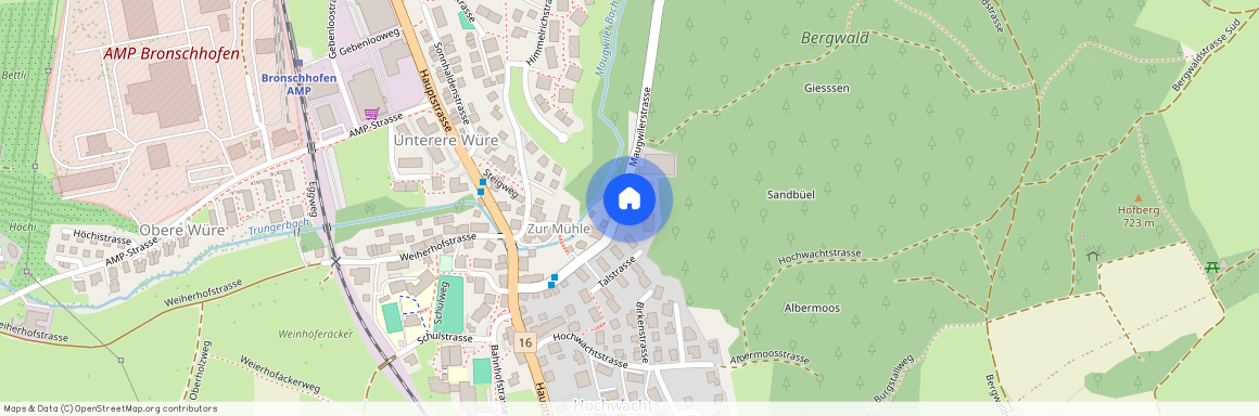 Maugwilerstrasse 20a, 9552 Bronschhofen, Lageplan