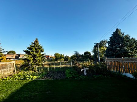 For Lease - 71 Brougham Drive Unit# Bsmt, Vaughan, Ontario - Photo 5