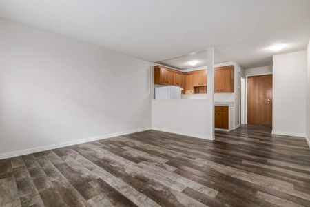 Renovated Suite - 1 Bedroom - Photo 2