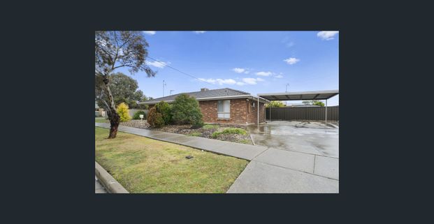 Neat 3 Bedroom Home - Photo 1