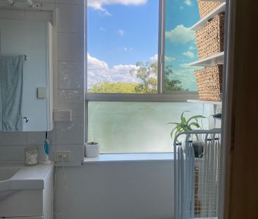 Spring Hill - Photo 5